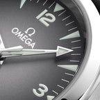 Seamaster Railmaster 38mm - Grey on Leather Strap